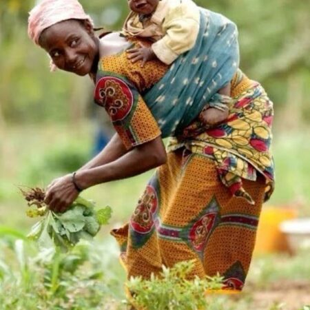 6ecdabe63f7521d77aa705d47f211966