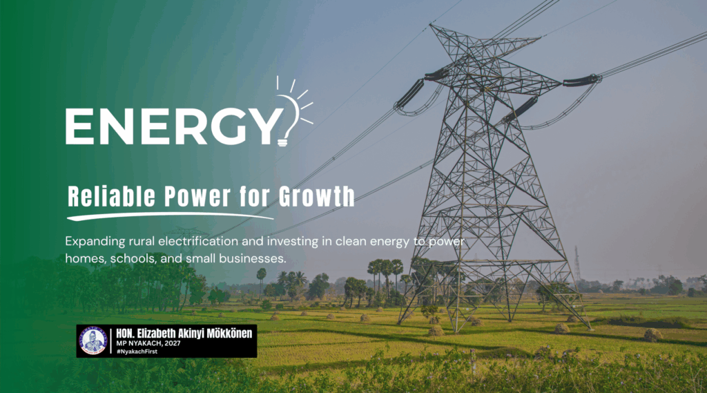 elizabethakinyi.co.ke