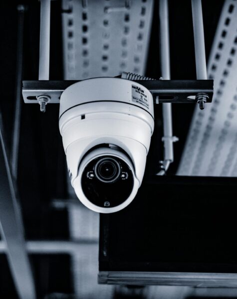 pexels-lukasz-klimkiewicz-42373578-7364948